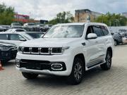 белый BAIC BJ60 2.0d AT (163 л.с.) 4WD 2025 фото 2